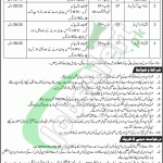 WAPDA Jobs