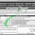 Livestock and Fisheries Department Sindh Jobs