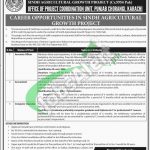Sindh Agriculture Growth Project Jobs