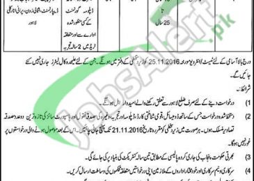 Punjab Building Department Lahore Jobs