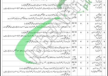 Health Department Layyah Jobs