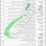 Health Department Rawalpindi Jobs