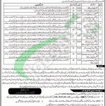 Health Department Lahore Jobs