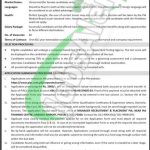 PIA Air Hostess Jobs