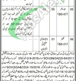 Forest Department Sindh Jobs