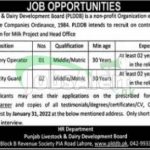 Punjab Livestock & Dairy Development Board Jobs