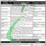 Sindh Agriculture University Tandojam Jobs