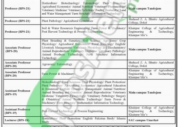 Sindh Agriculture University Tandojam Jobs