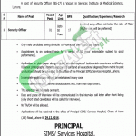 Services Hospital Lahore Jobs