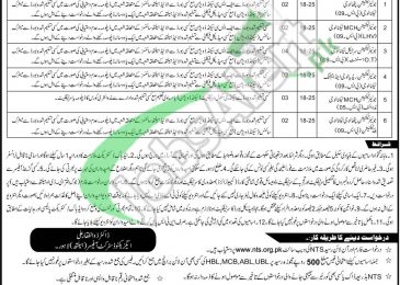 Health Department Raiwind Jobs