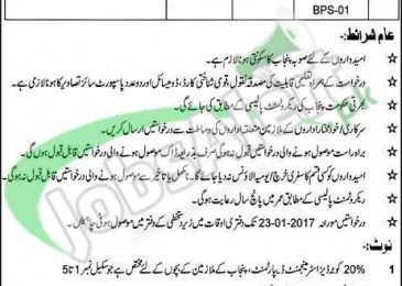 PDMA