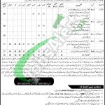 Food Directorate Quetta Jobs