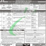 PPSC Jobs