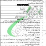 Punjab Highway Patrol Police Jobs