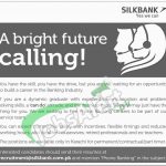 Silk Bank Jobs