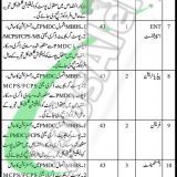 JIMS Jacobabad Jobs 2019