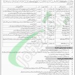 Women University AJK Jobs