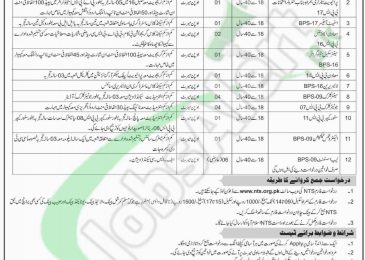 Women University AJK Jobs