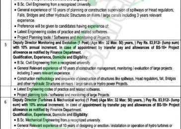 Punjab Energy Department Jobs