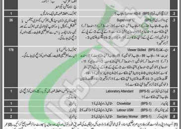 PO Box 903 GPO Rawalpindi Jobs