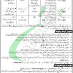 WAPDA Jobs