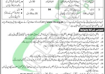 WAPDA Jobs