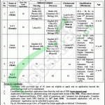 DPS Sahiwal Jobs