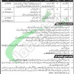 WAPDA Jobs