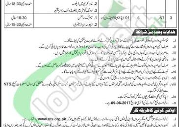 WAPDA Jobs