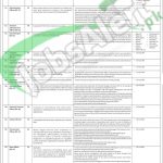 Director Health Services FATA 