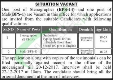 Anti Corruption Court Sargodha Jobs