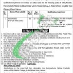 Ameer ud Din Medical College Jobs