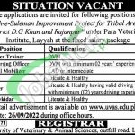 UVAS Jobs