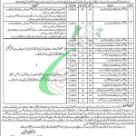 Health Department Sheihupura Jobs