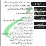 FWO Jobs