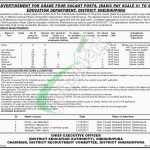 Education Department Punjab Jobs