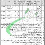 Zakat and Ushr Department Punjab Jobs 