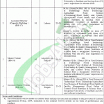 Punjab Food Authority Jobs