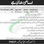 Pakistan Model Educational Institutions Foundation PMEIF Jobs 2019