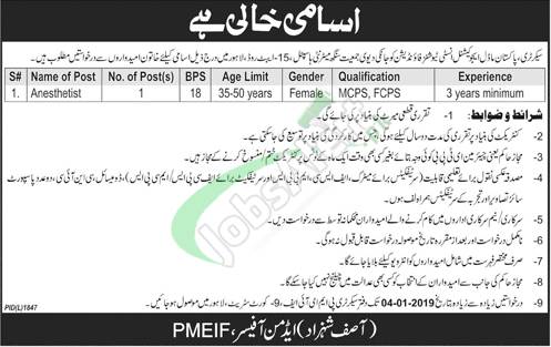Pakistan Model Educational Institutions Foundation PMEIF Jobs 2019