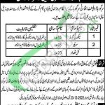 Sargodha Development Authority Jobs