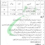 District Education Authority Jhelum Jobs