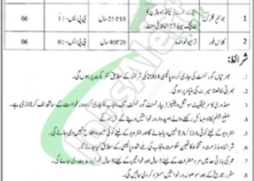 District Education Authority Jhelum Jobs