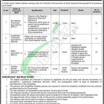 Sindh Public Sector Health Institute Jobs