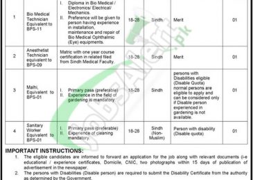 Sindh Public Sector Health Institute Jobs