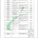 Energy Department Punjab Jobs