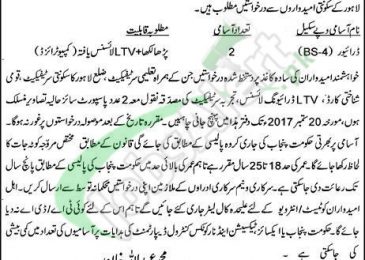 Excise and Taxation Department Jobs
