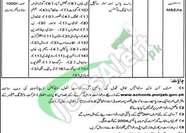 School Education Department Jobs