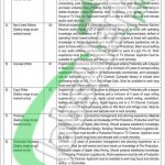 Ministry of Federal Education Jobs