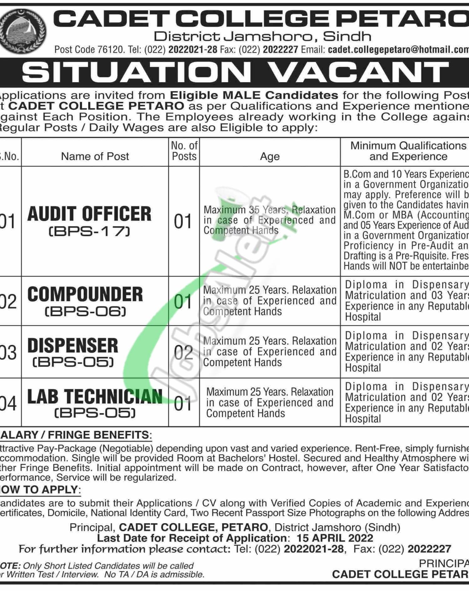 Cadet College Petaro Jobs 2022 For BPS-17 To BPS-05 Latest March Advertisement Cadet College Petaro Jobs